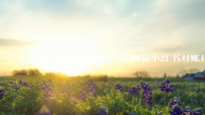 为什么轰轰烈烈的中美网友小红书对账行动戛然而止了？