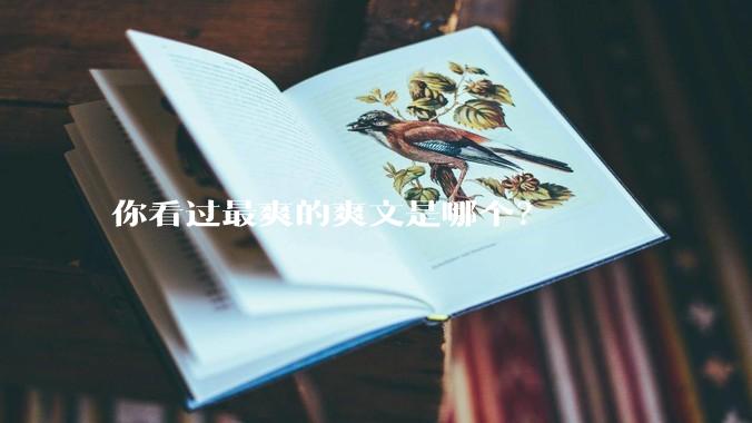 你看过最爽的爽文是哪个？