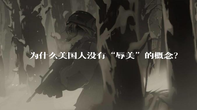 为什么美国人没有“辱美”的概念？
