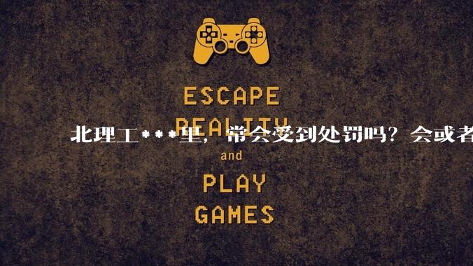 北理工***里，常会受到处罚吗？会或者不会的原因是什么？