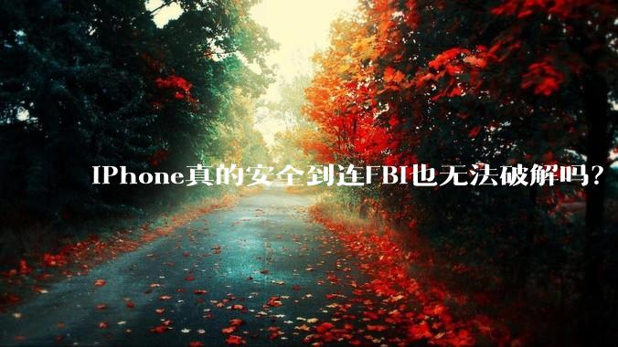 iPhone真的安全到连FBI也无法破解吗？