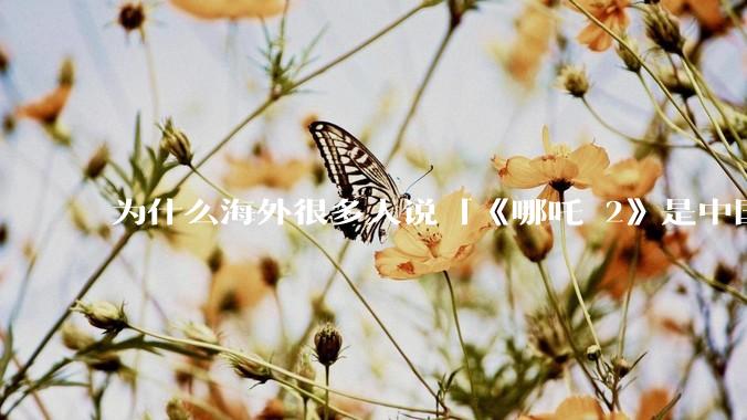 为什么海外很多人说「《哪吒 2》是中国人自己的狂欢」？
