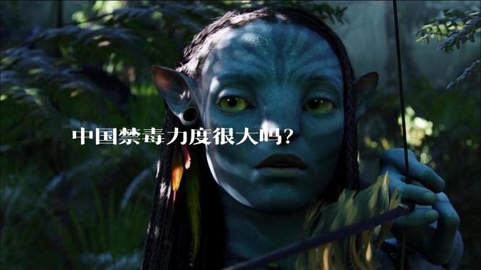 中国禁毒力度很大吗？