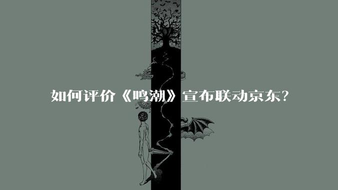 如何评价《鸣潮》宣布联动京东？
