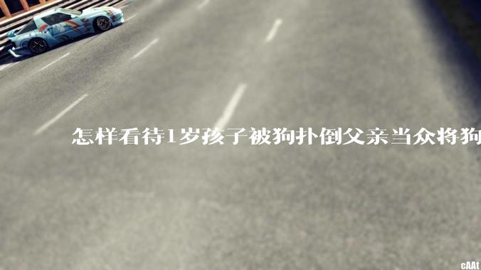 怎样看待1岁孩子被狗扑倒父亲当众将狗摔死？