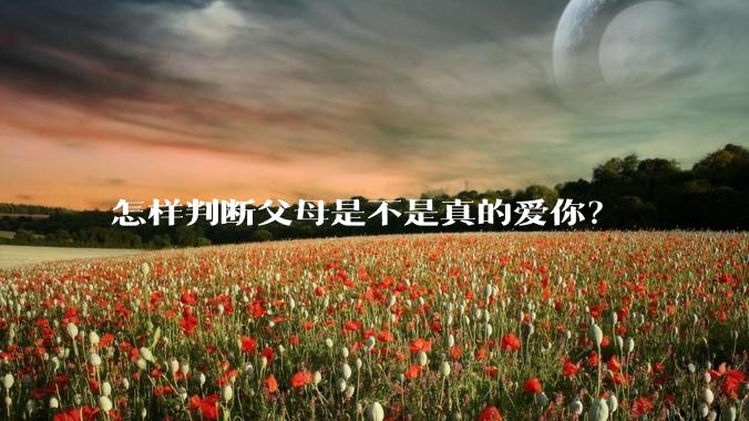 怎样判断父母是不是真的爱你？