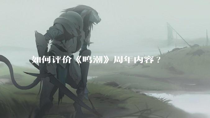 如何评价《鸣潮》周年内容?