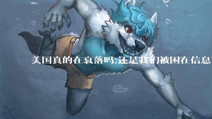 美国真的在衰落吗,还是我们被困在信息茧房?